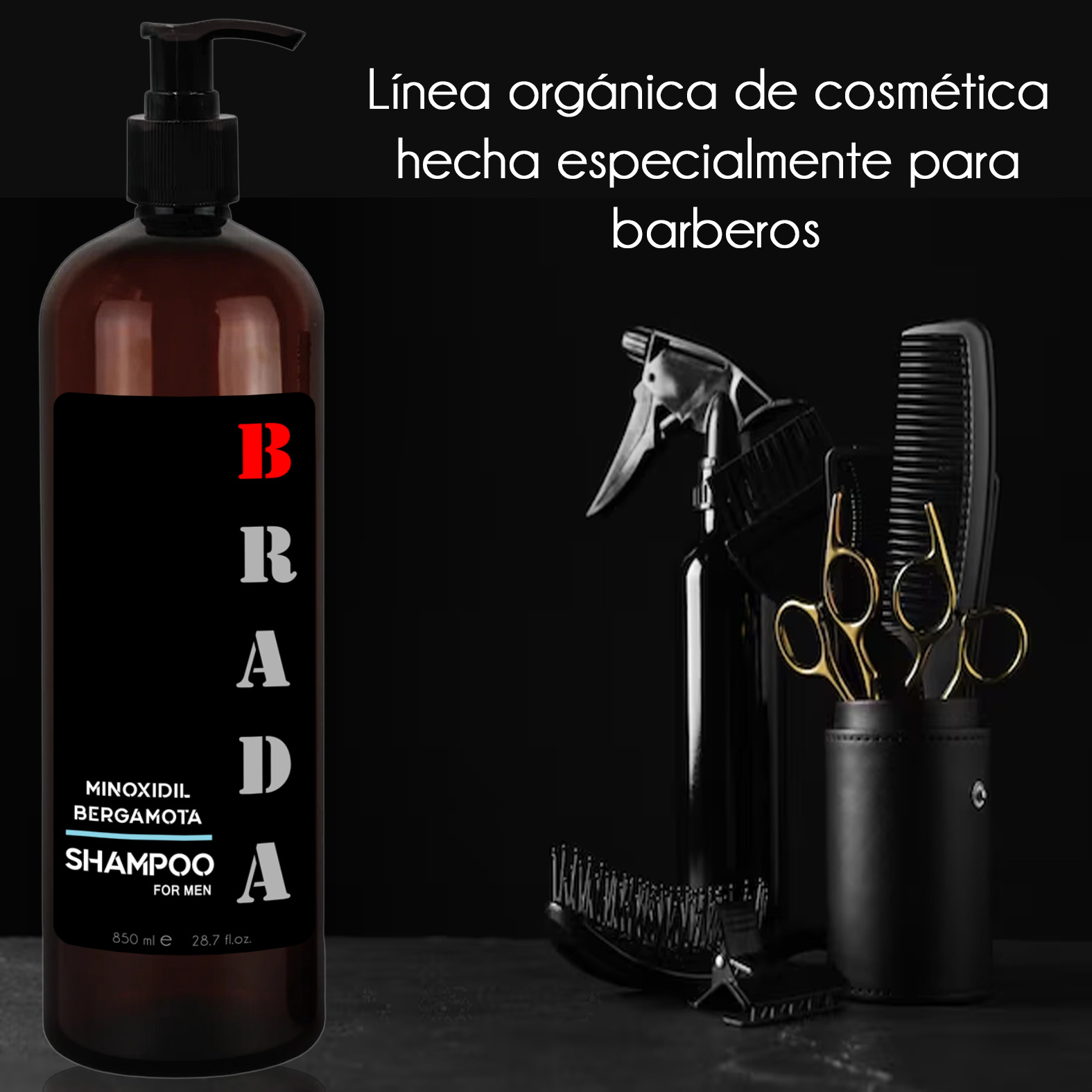 CARACTERISTI BRADA