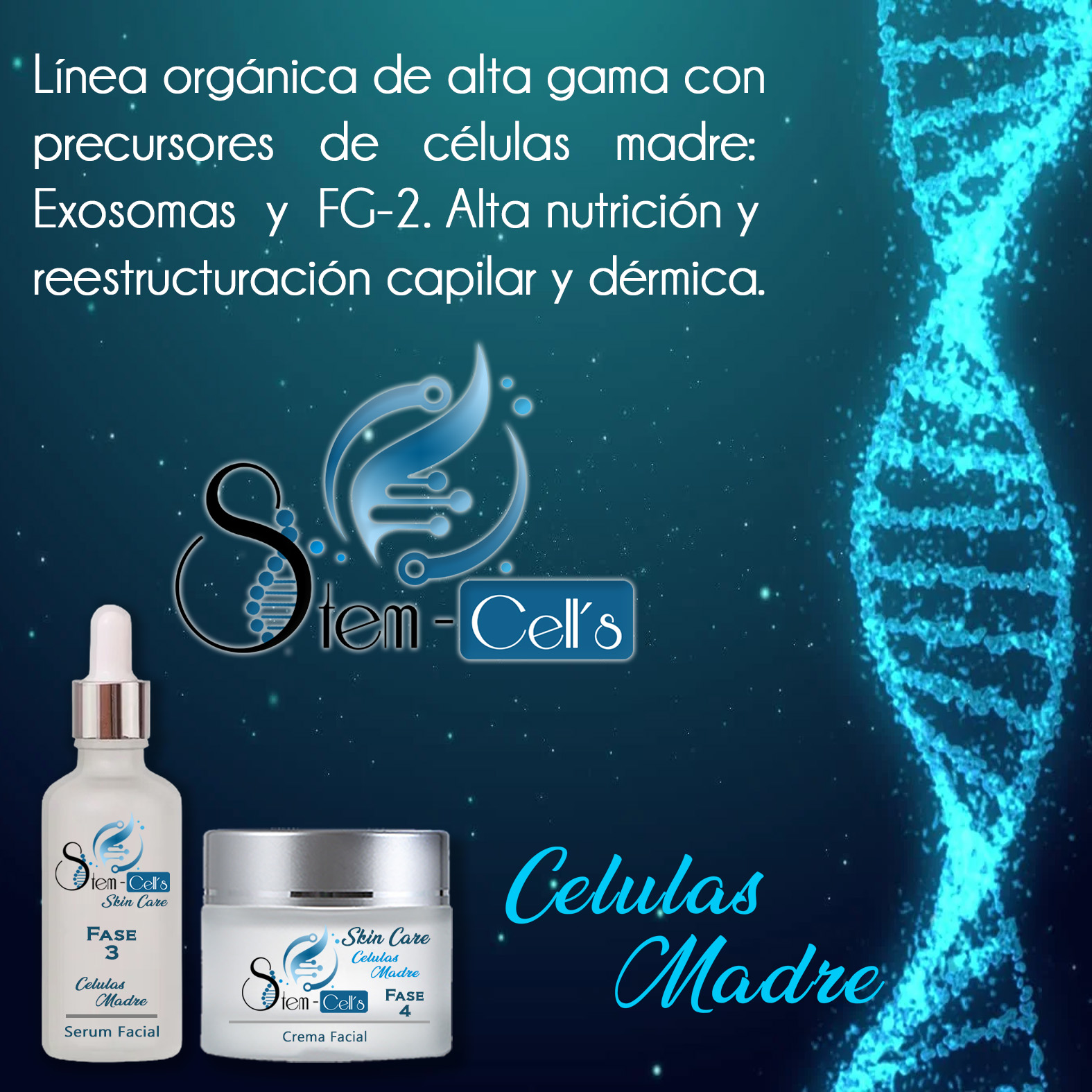 CARACTERISTI STEM CELL