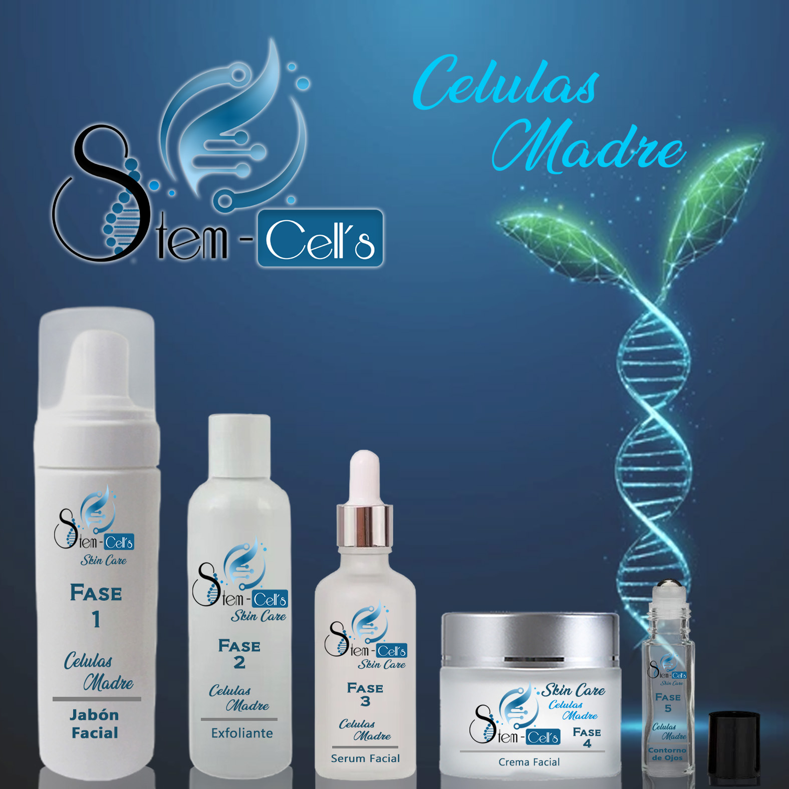 portafolio stem cell